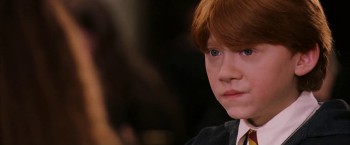 Harry Potter and the Sorcerer's Stone screenshot 3