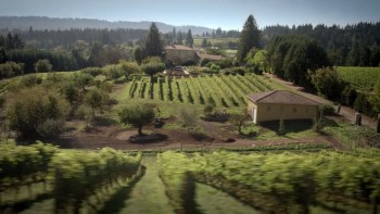 House of Last Things screenshot 2