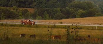 Identity Thief screenshot 2