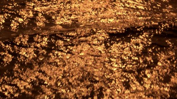 Indecent Proposal screenshot 1