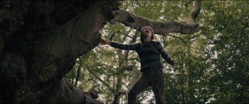 Into the Woods screenshot 1