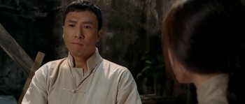 Ip Man screenshot 3