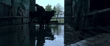 Isolation screenshot 3