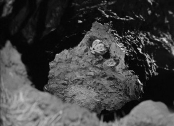 Jamaica Inn screenshot 2