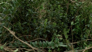 Friday the 13th Part VI: Jason Lives screenshot 2