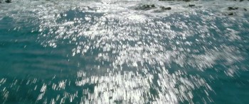 Kill Me Three Times screenshot 1