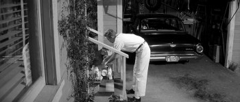 Kiss Me, Stupid screenshot 2