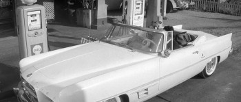 Kiss Me, Stupid screenshot 3