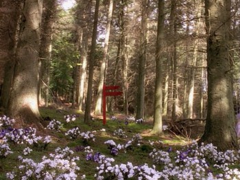 Alice Through the Looking Glass screenshot 1