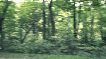 Alien Abduction screenshot 1