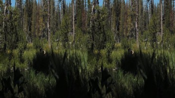 Alien Showdown: The Day the Old West Stood Still screenshot 3