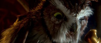 Legend of the Guardians: The Owls of Ga'Hoole screenshot 3