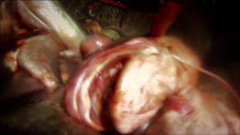 Leviathan screenshot 2