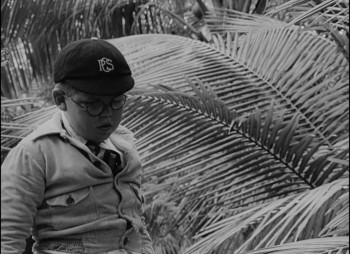 Lord of the Flies screenshot 3