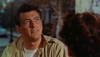 All That Heaven Allows screenshot 3