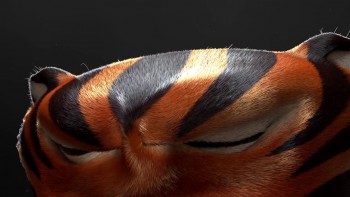 Madagascar 3: Europe's Most Wanted screenshot 2