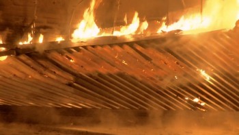 Mega Shark vs. Mecha Shark screenshot 1