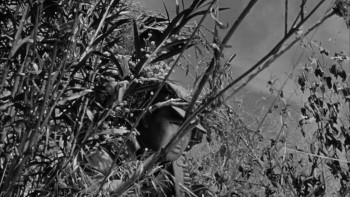 Men in War screenshot 1