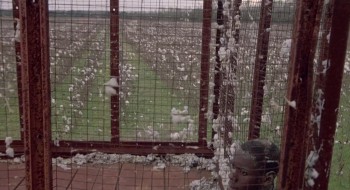 Mississippi Burning screenshot 2