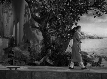 Mr. Peabody and the Mermaid screenshot 1