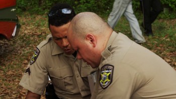 Night Claws screenshot 1