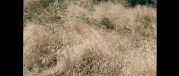 Nymphomaniac: Vol. II screenshot 1