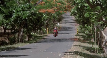 American Ninja screenshot 1