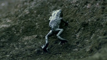 One Life screenshot 1