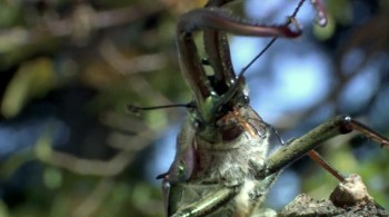 One Life screenshot 2