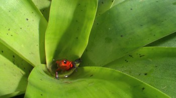 One Life screenshot 3