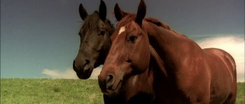 Open Range screenshot 2