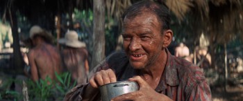 Papillon screenshot 3