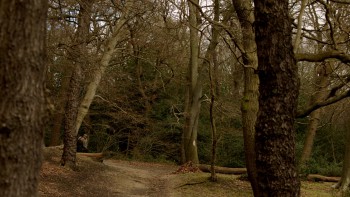 An Adventure in Space and Time screenshot 1