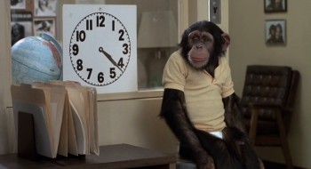 Project X screenshot 1