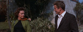 Rebel Without a Cause screenshot 1