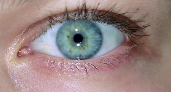 Resident Evil screenshot 2