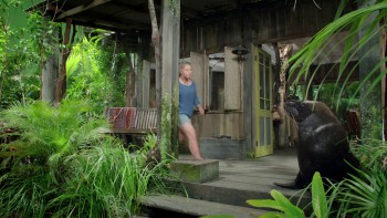 Return to Nim's Island screenshot 3