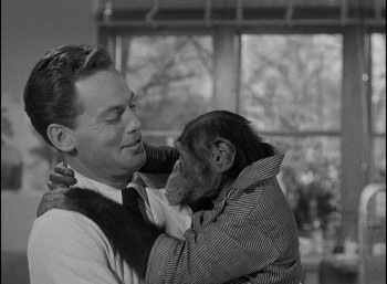 Revenge of the Creature screenshot 1