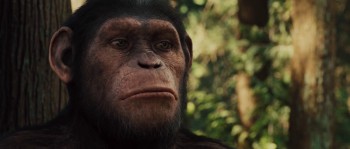 Rise of the Planet of the Apes screenshot 1