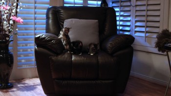 Santa Claws screenshot 3