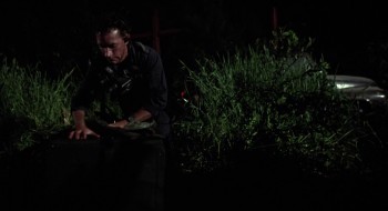 Scarecrows screenshot 3