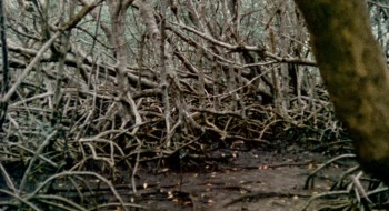 Shock Waves screenshot 1