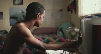 Short Term 12 screenshot 1