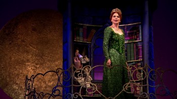 Shrek the Musical screenshot 2