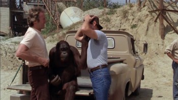 Any Which Way You Can screenshot 1