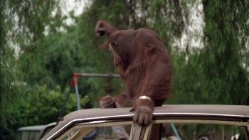 Any Which Way You Can screenshot 3