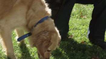 So This Is Christmas screenshot 2