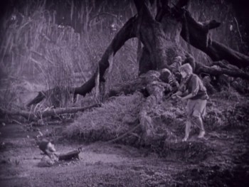 Sparrows screenshot 3