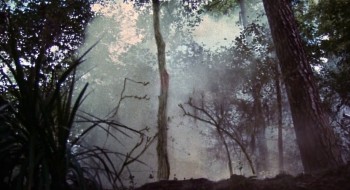 Sugar Hill screenshot 1