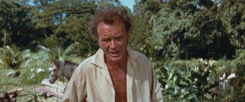 Swiss Family Robinson screenshot 1